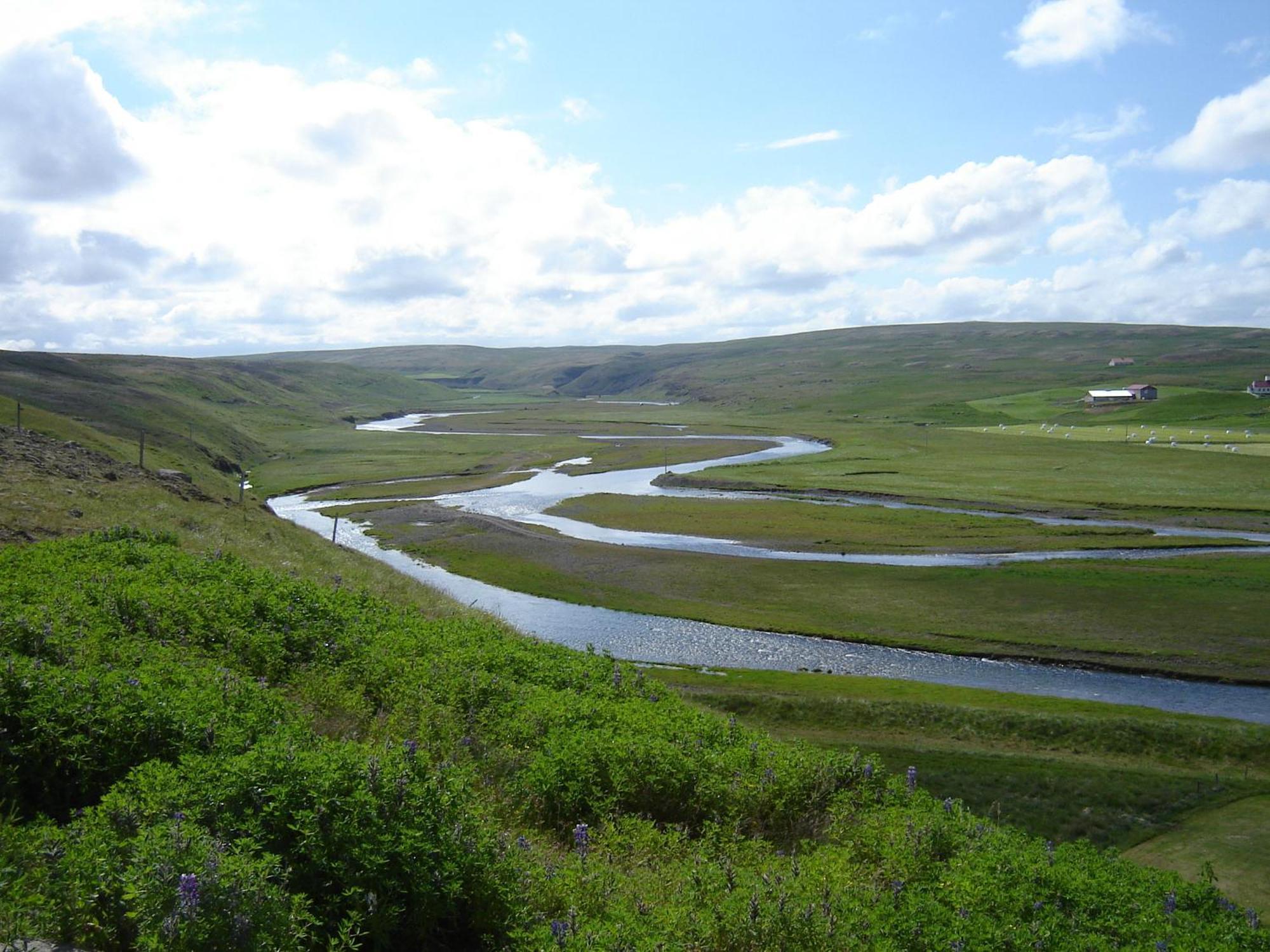 Daeli Guesthouse Víðidalstunga Exteriér fotografie